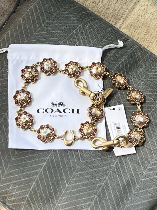 NWT Authentic COACH Motif Chain Bag Charm Dust Bag NOT  NWT Coach Gold Floral Jewel Chain Strap with Dust Bag